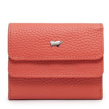 Braun Buffel